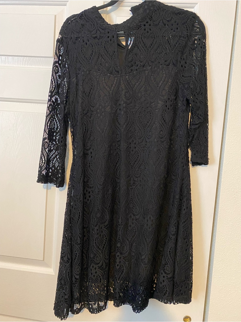 Papillon Blanc Black Lace Long Sleeve A-Line Dress